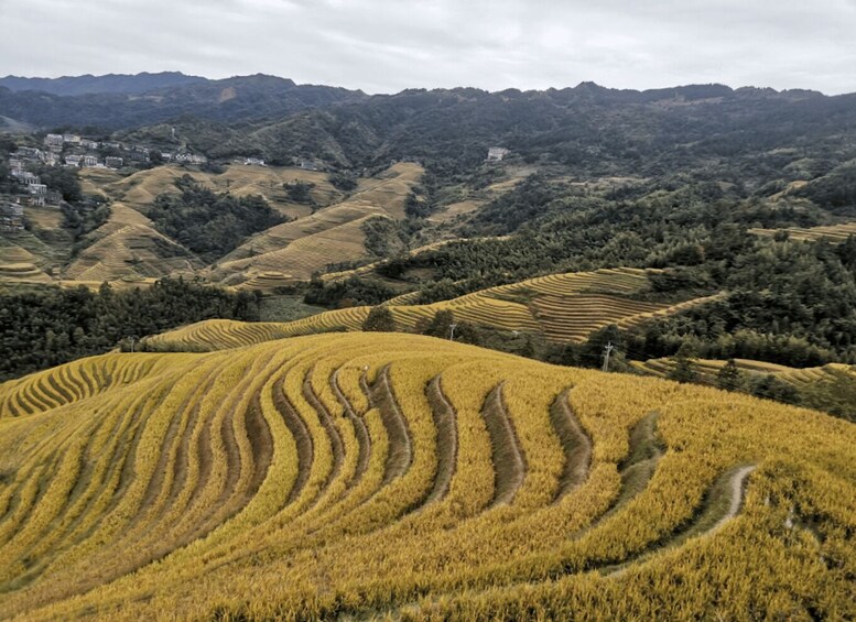 Terraced fields in a hilly landscape with a village in the background. 5