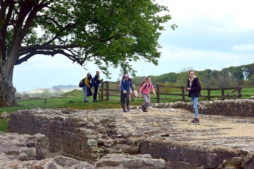 A group of people walking on ancient stone ruins with a large tree and a wooden fence in the background. 4