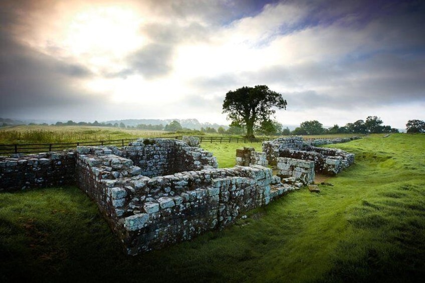Ancient stone ruins in a grassy field with a large tree and a cloudy sky. 1