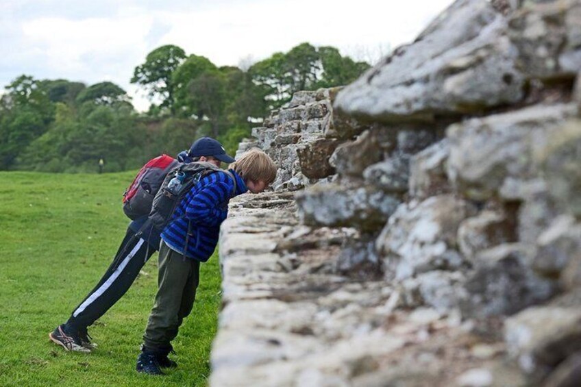 Two people examining a stone wall in a grassy field. 3