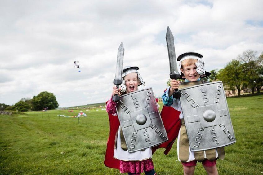 Two children in a grassy field holding shields and swords, with a kite in the background. 2
