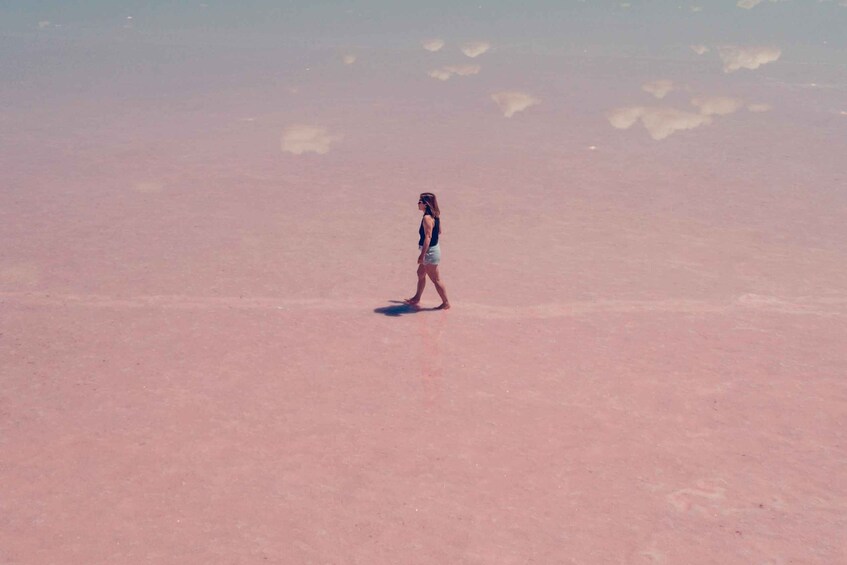 A person walking on a pink salt flat. 5