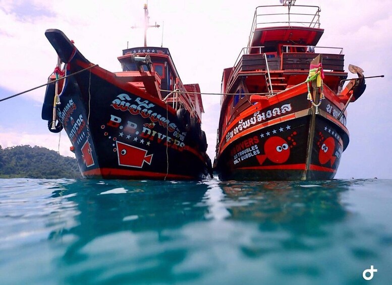Two large boats with 'B.D. Divers' and 'NO TROUBLES ONLY BUBBLES' written on them, floating on calm water with a forested island in the background. 1