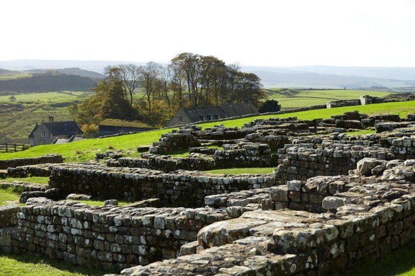 Ancient stone ruins, a grassy landscape, and a distant tree. 5