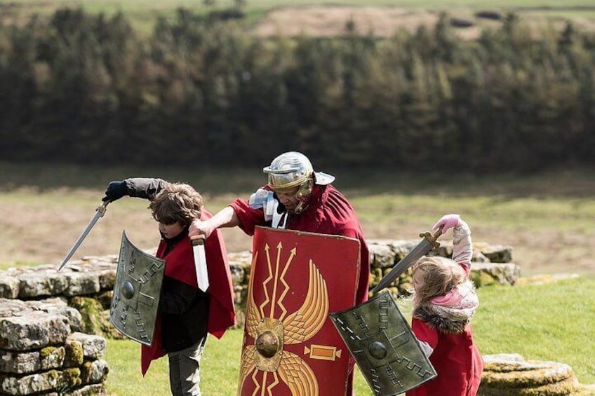 A person in medieval costume with a shield and sword, standing in a grassy field with stone structures. 2