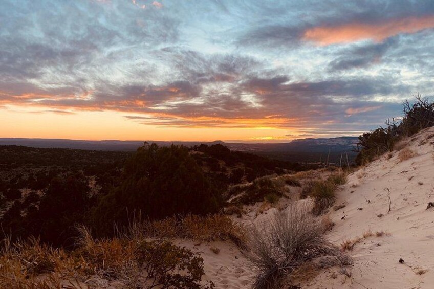 Paesaggio desertico con dune di sabbia e vegetazione rada al tramonto. 5