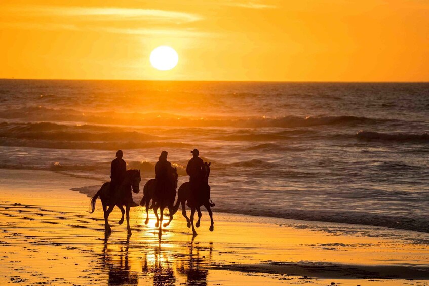 A sunset over the ocean with three people riding horses on the beach. 3