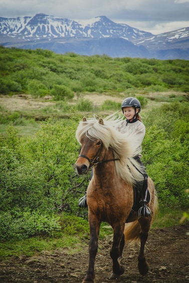 Picture 5 for Activity PRIVATE TRAIL RIDE: Horseback Riding Tour with Prep Lesson 3