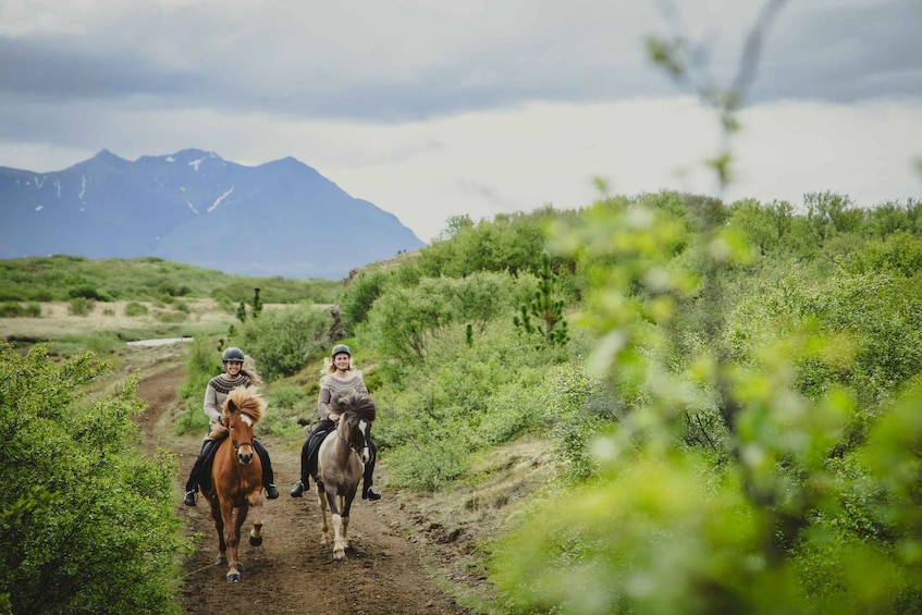 Picture 3 for Activity PRIVATE TRAIL RIDE: Horseback Riding Tour with Prep Lesson 2