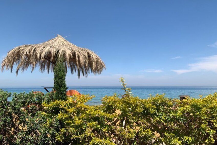 A beach with a thatched umbrella, lush greenery, and the ocean in the background. 3