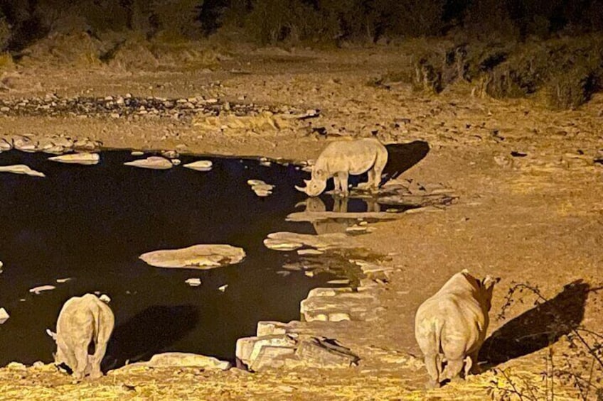 A river with ice floes, a hippopotamus, and two white elephants. 2