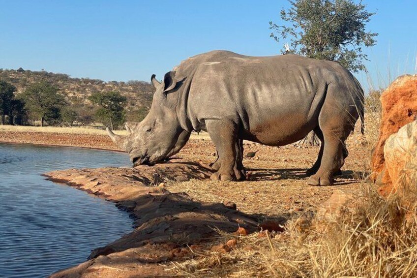 3 Days Etosha National Park Safaris 5