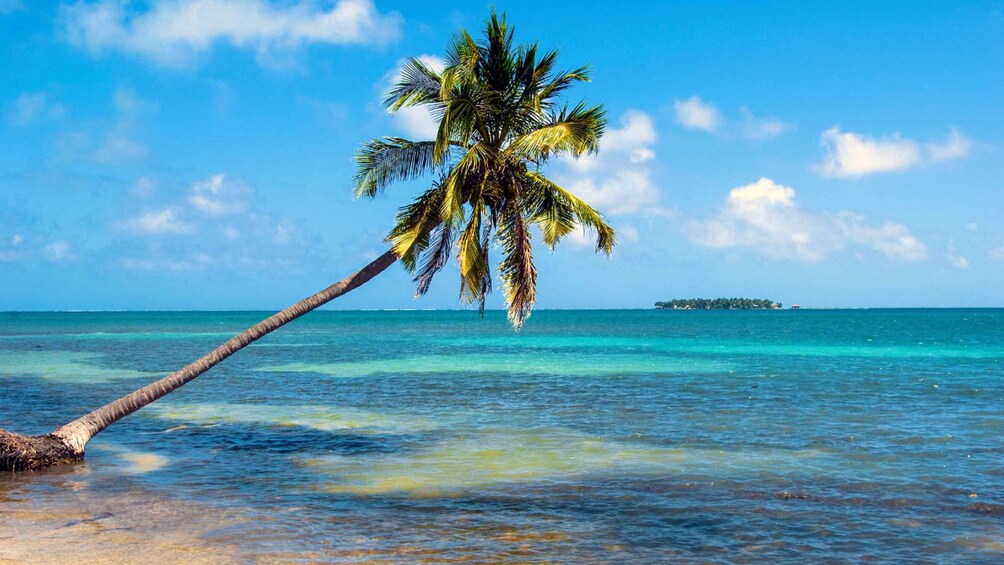 San Pedro Sula: Belize Cays Private Full-Day Caribbean Tour 1