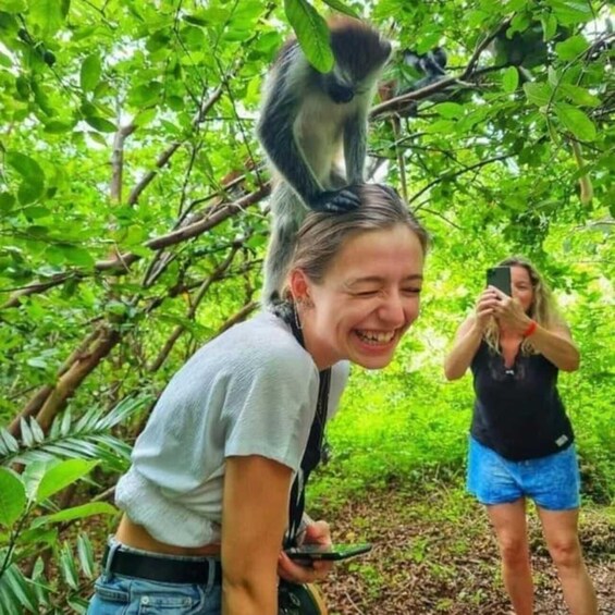 A person with a monkey on their head in a forest. 3