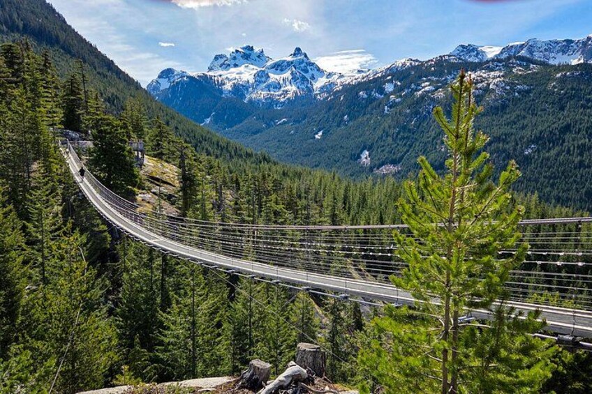 A suspension bridge in a forested mountainous area with snow-capped peaks in the background. 3
