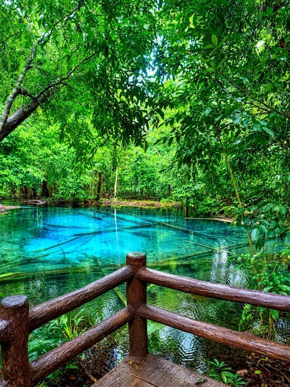 A wooden bridge over a clear blue water body surrounded by dense green foliage. 2