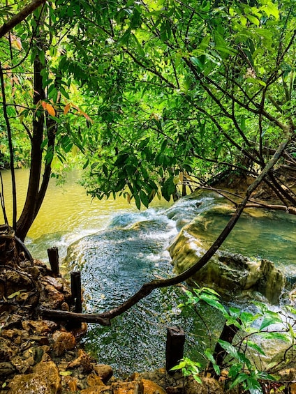 A flowing river with surrounding lush greenery and rocks. 3