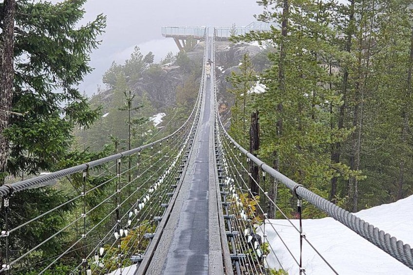 Eine Hängebrücke mit Stahlseilen und Geländer, umgeben von Bäumen und einem nebligen Hintergrund. 2