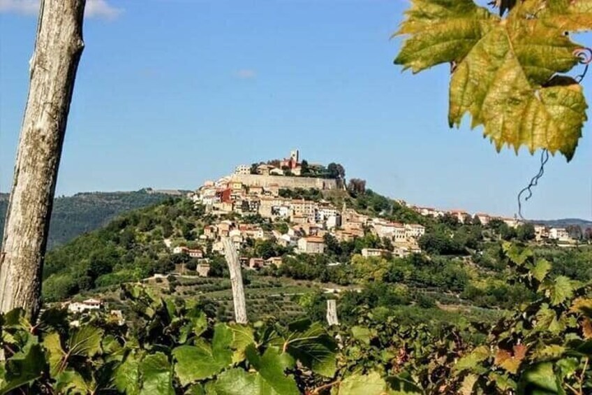 View of Motovun