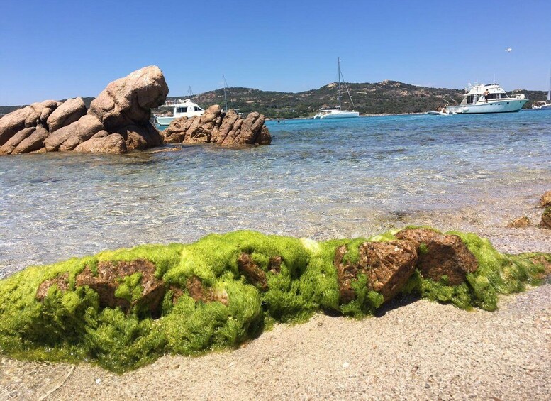 A rocky shoreline with clear water, boats, and a distant hill. 4