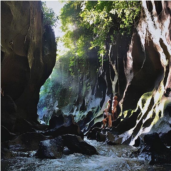 A narrow canyon with a stream, rocky walls, and greenery. 4