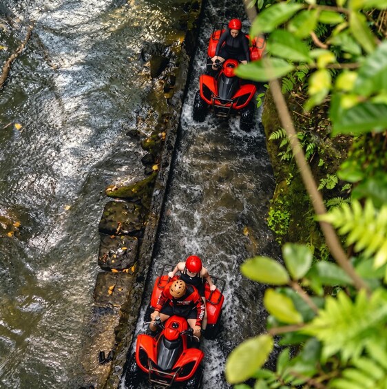 Two people in red ATVs navigating a narrow, rocky stream surrounded by dense foliage. 3
