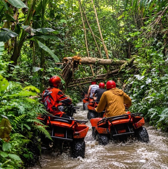 People riding ATVs through a forested area with a fallen tree blocking the path. 4