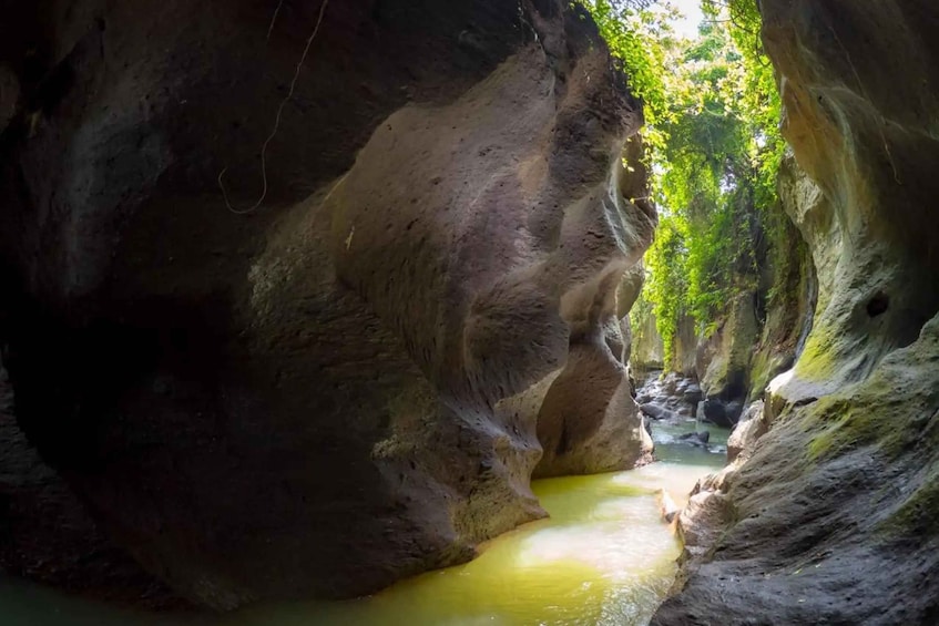 Picture 32 for Activity Ubud: Hidden Canyon Trek, Barong Cave ATV & Jungle Club 2