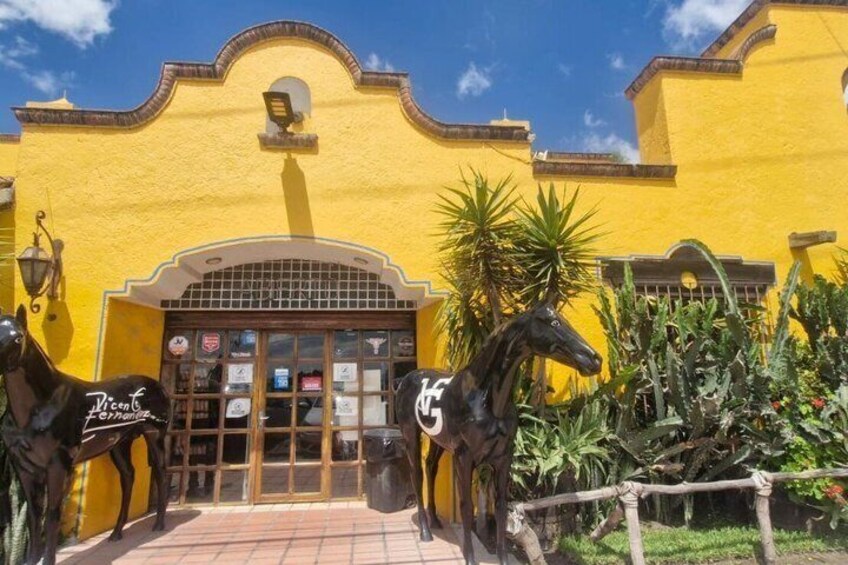 Journey to the Heart of Jalisco Lake Chapala 4