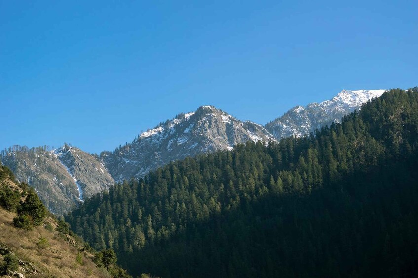 A mountain range with snow-capped peaks and dense forested slopes. 2