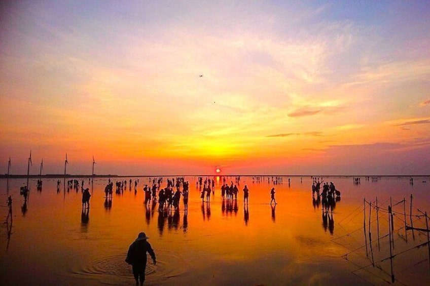 Spirits of the Sea, Dajia, Baishatun and Gaomei Day Trip 1