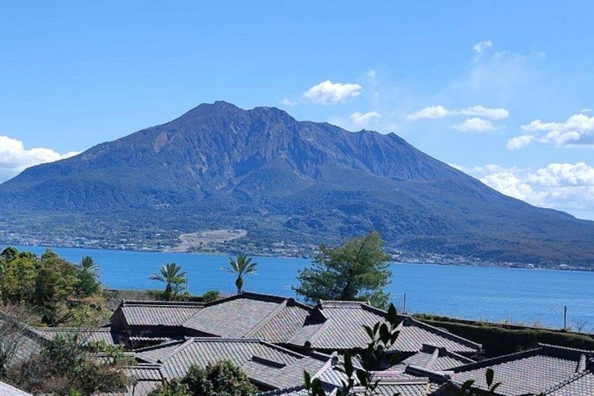 Private Full-Day Kagoshima Tour (Shore Excursion Available) 2