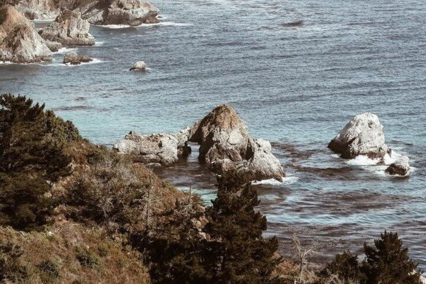 Un paysage côtier caractérisé par des affleurements rocheux et une végétation dense de conifères. 3