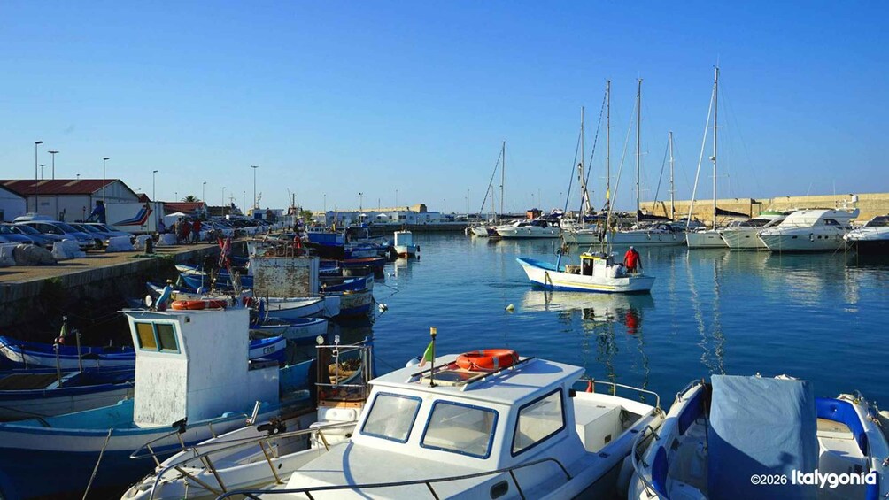 A marina with various boats docked, a clear blue sky, and a sandy beach in the background. 3