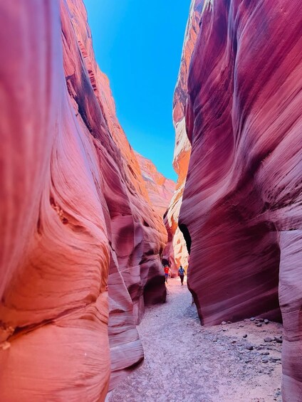 A narrow canyon with smooth, red rock walls and a clear blue sky. 5