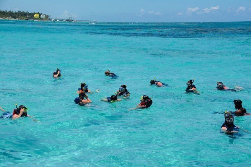 Personas haciendo snorkel en aguas turquesas cristalinas, con una costa a lo lejos. 2