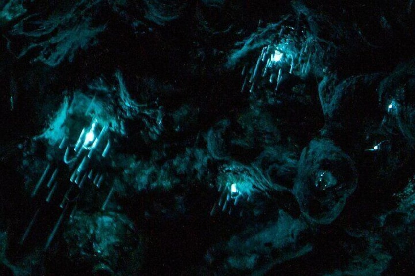 A dark cave with bioluminescent formations and stalactites. 5