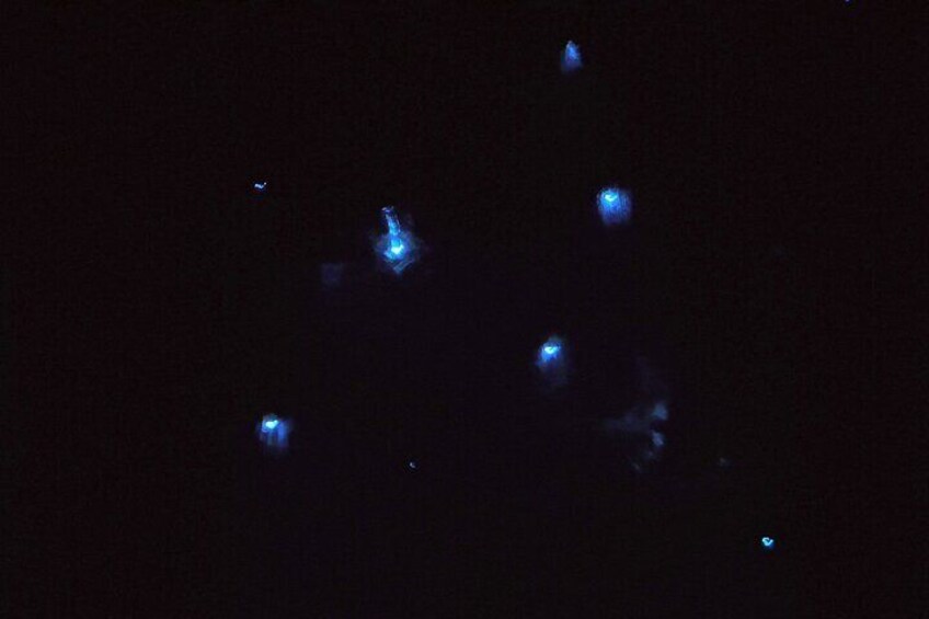A dark sky with several bright, isolated lights. 3