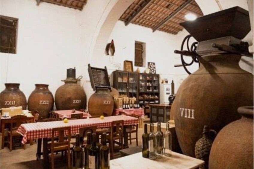 Un interior rústico con grandes macetas de barro, muebles de madera y un mantel a cuadros. 4