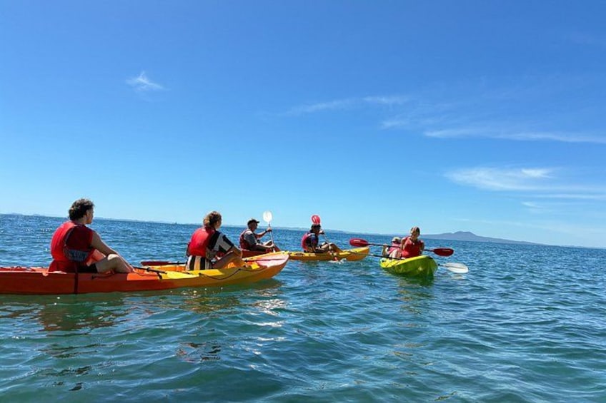 Auckland Coastal Brewery Kayak Tour 3