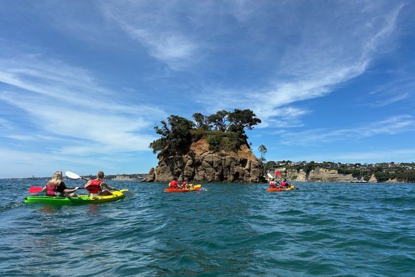 Auckland Coastal Brewery Kayak Tour 1