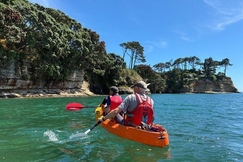 Auckland Coastal Brewery Kayak Tour 3