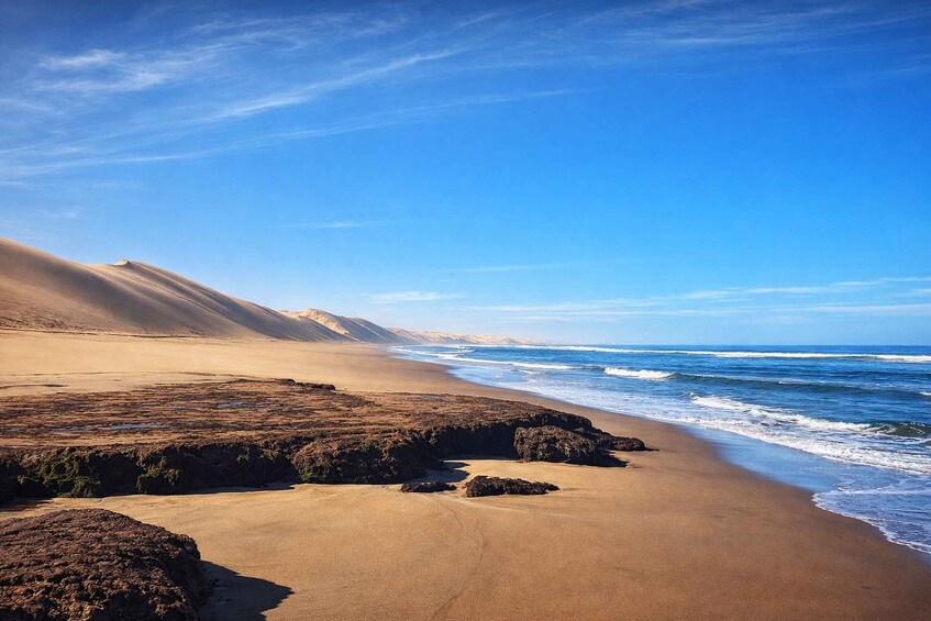 Picture 11 for Activity Walvis Bay: Sandwich Harbour Half-Day 4x4 Scenic Excursion 3