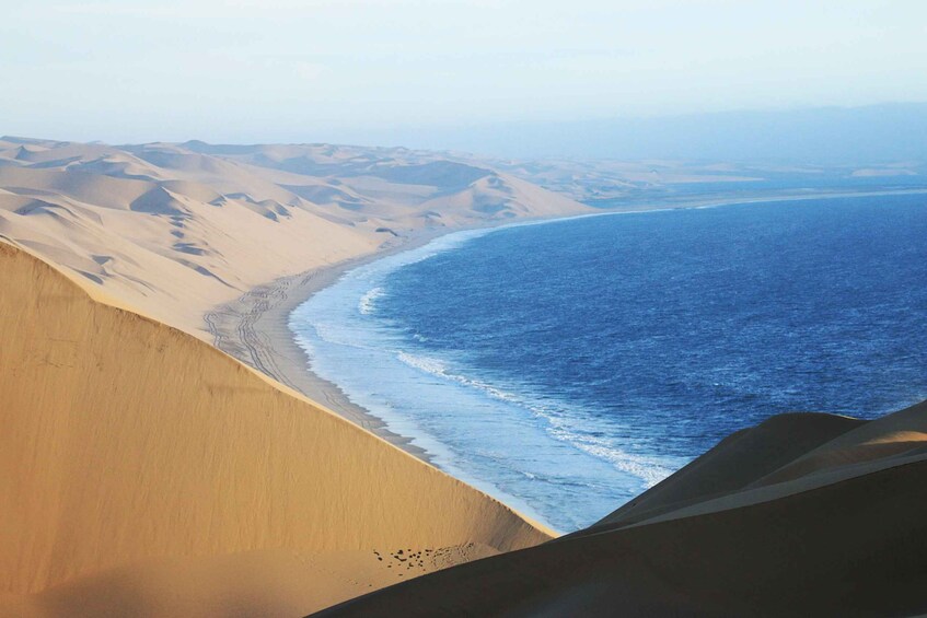 Picture 10 for Activity Walvis Bay: Sandwich Harbour Half-Day 4x4 Scenic Excursion 5