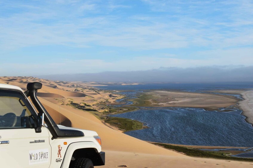 Picture 8 for Activity Walvis Bay: Sandwich Harbour Half-Day 4x4 Scenic Excursion 2