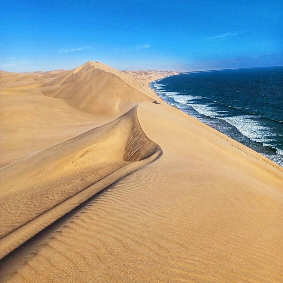 Sand dunes, a clear sky, and a coastline. 3