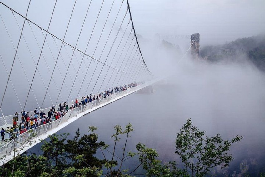 A suspension bridge with people walking on it, surrounded by fog and greenery. 1