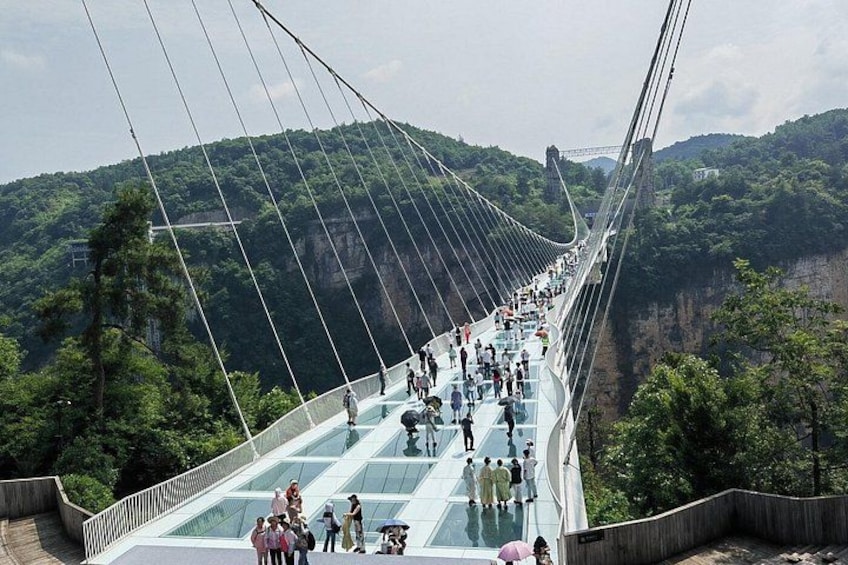 A glass-bottomed bridge with people walking on it, surrounded by lush green hills. 5