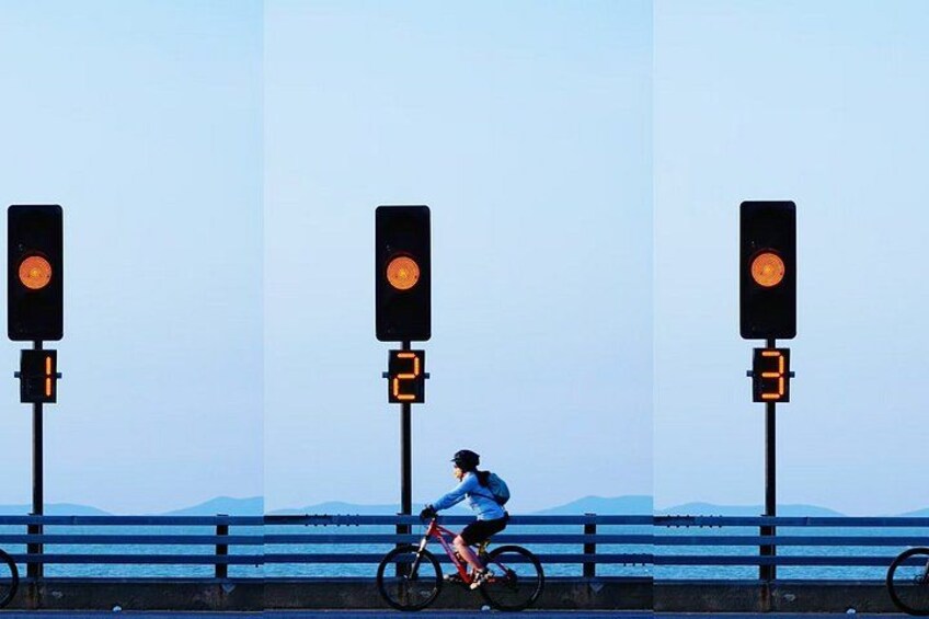 South Taihu Lake Sunset Cycling Tour from Shanghai 1