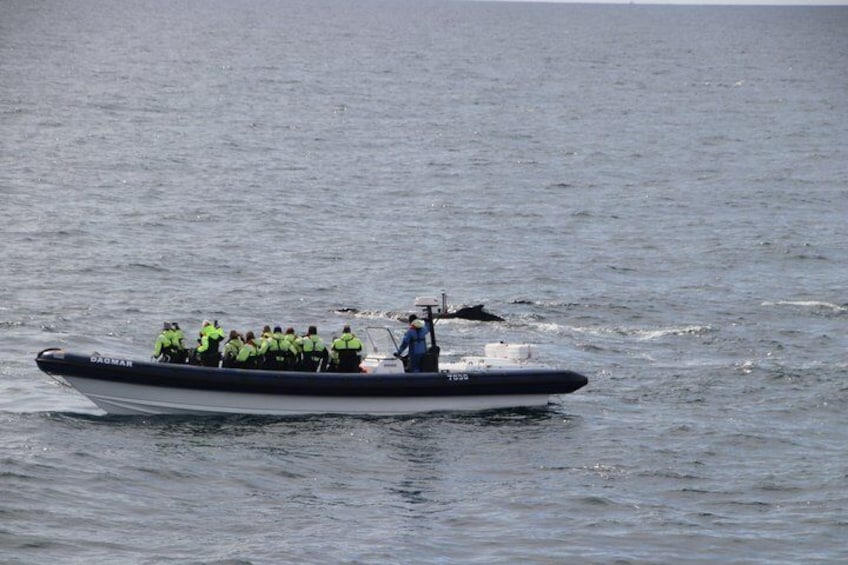 Een speedboot met verschillende mensen in reddingsvesten, een man in een blauw shirt, en iemand die voorin staat. 2